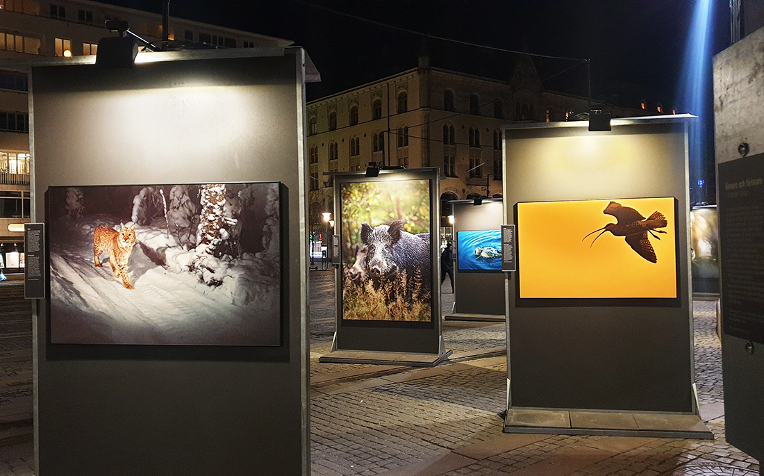 Exhibition of the Sixth Extinction